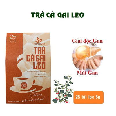 Trà Cà gai leo Thái Hưng - Thải độc gan, mát gan, giải rượu - Hộp 25 túi lọc 5g
