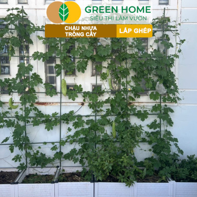 Chậu Trồng Cây Greenhome, Nhựa Nguyên Sinh Lắp Ghép, Nhiều Kích Thước, Trồng Hoa Hồng, Rau, Củ, Quả, Độ Bền 5 Năm