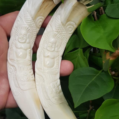 Mặt dây chuyền Nam Nanh Chạm Phật Di Lặc Giả Ngà hay gọi Xương mỹ nghệ màu trắng Mặt dây chạm hình Phật Di Lặc đã bọc khoen inox Nam đeo với sợi dây chuyền của mình đẹp ạ 