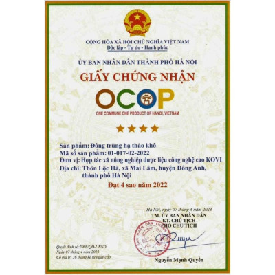 Đông trùng hạ thảo KOVI khô sấy thăng hoa KOVI 50g | Hàm lượng dược chất cao 4 sao OCOP