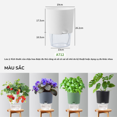 Chậu tự tưới trong suốt A712 Monrovia cho cây cảnh, hoa, bonsai để bàn, decor, ban công