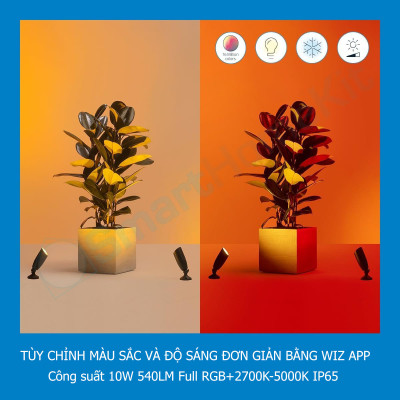 Đèn chiếu điểm ngoài trời WiZ Full Color 12V Ground Spot Starter Kit 16 triệu màu kết nối Wifi & Matter, Hàng Chính Hãng