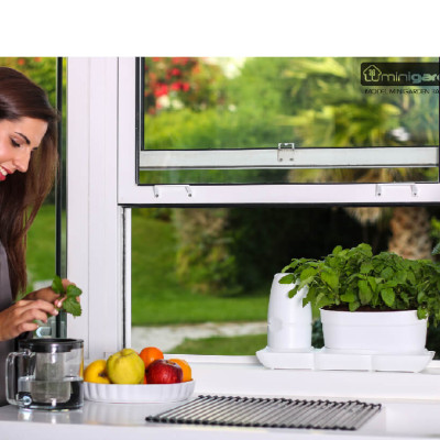 CHẬU TRỒNG RAU TỰ DƯỠNG NHẬP KHẨU CHÂU ÂU TỰ ĐỘNG TRONG 2 THÁNG, SỬ DỤNG 10 NĂM