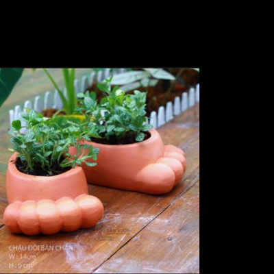Chậu Đôi Bàn Chân - Chậu Đất Nung Trồng Sen Đá