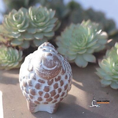 Chậu Gốm Đất Nung Hình Con Cừu - Chậu Trồng Sen Đá Dễ Thương