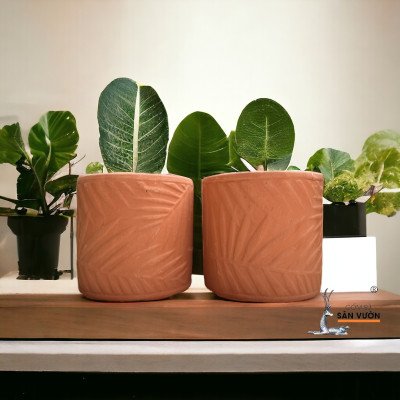 Chậu Gốm Đất Nung Trồng Cây Hình Trụ