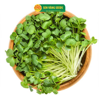 Hạt Giống Rau Mầm Cải Thìa - Hạt nhập khẩu New Zealand, nảy mầm >95%, dễ trồng, sinh trưởng khỏe - HẠT GIỐNG SEN VÀNG