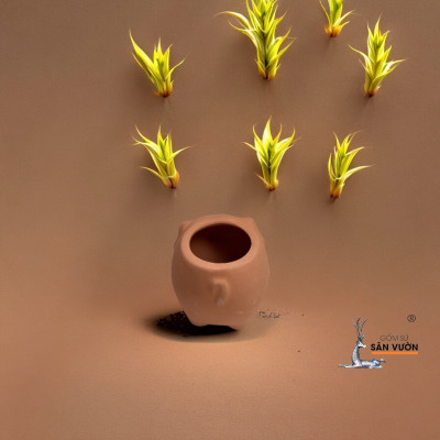 Chậu Gốm Heo Con Mini - Chậu Trồng Sen Đá Dễ Thương