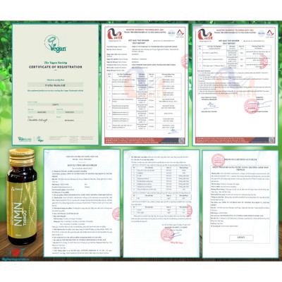 NMN Thingo - Liệu trình 1 tháng 3 hộp NMN tặng quà Túi hoặc Ly sứ cao cấp - Hàng chính hãng