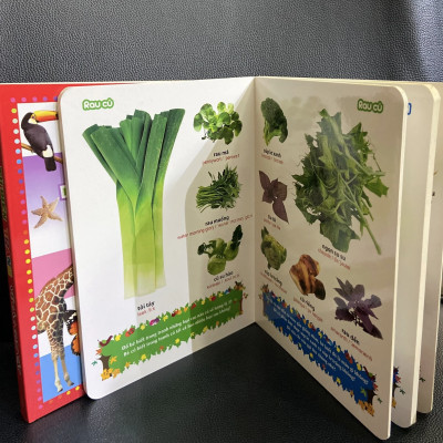 Combo Từ Điển Tranh Về Rau - Củ - Quả - Hoa + Từ Điển Tranh Về Các Con Vật (Bìa Cứng)