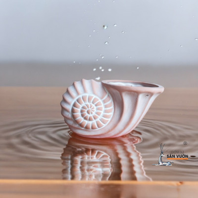 Chậu Đất Nung Hình Vỏ Sò Nhỏ