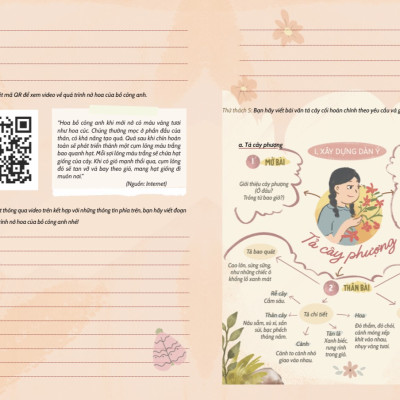 Sách Chinh Phục Tiếng Việt 4 - Dương Hằng - Dùng chung cho 3 bộ sgk hiện hành