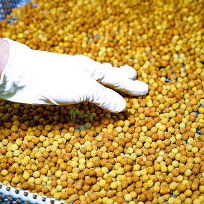 Viên Sâm - Tinh nghệ Mật ong