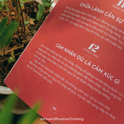 MỘT NĂM TƯ DUY TÍCH CỰC 