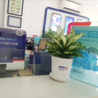 Chậu trồng cây trong nhà cao cấp Minigarden Basic Pot S (Combo 5 chậu) nhập khẩu Châu Âu, Nhựa PP Chống UV, có khả năng tự hút nước và thoát nước giúp cây sống tốt mà không cần chăm sót