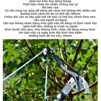 Kéo Cắt Cành Cây Hái Quả Trên Cao, Siêu Bén – Hàng Gia Công Làng Nghề Loại Tốt