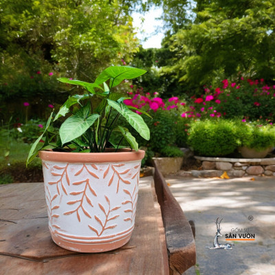 Bộ 3 Chậu Vót Sơn WAX Vân Lá Liễu