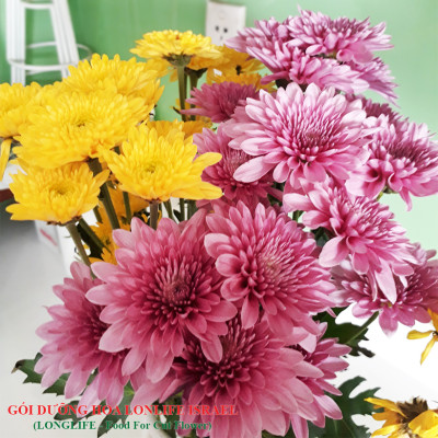 Hủ 1KG Bột Dinh Dưỡng Hoa Lâu Tàn dành cho Shop Hoa, Vựa Hoa hiệu Longlife SG nhập khẩu Israel, giúp bảo quản hoa cắm MUD tươi gấp 2 lần bình thường và Hạn chế thay hoa định kỳ