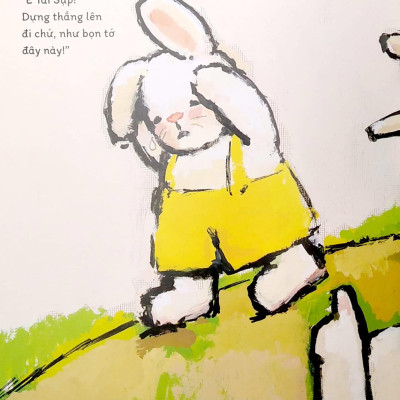 Chuyện Về Chú Thỏ Cool Nhất Hà Lan - Thỏ Riki Tai Cụp