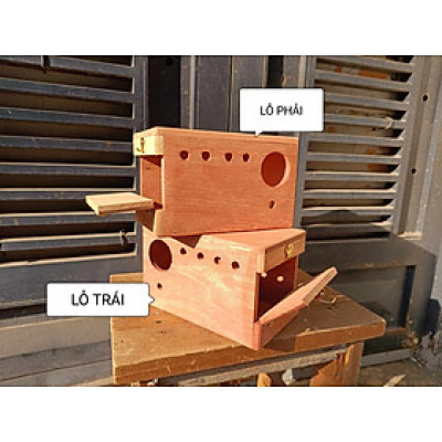 1 tổ sinh sản cho yến phụng, parrotlet (dài 24 rộng 15 cao 15) bằng gỗ hồng đào nguyên khối,(tặng kèm 1 cây đậu và bộ móc treo tổ)