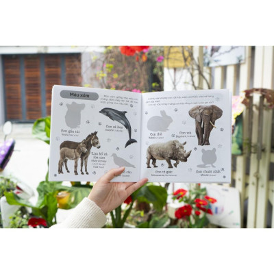 Sách Bóc Dán Phát Triển Ngôn Ngữ Và Nhận Biết - Cho Trẻ Từ 3 Tuổi - Combo 6 Cuốn - Đinh Tị Books