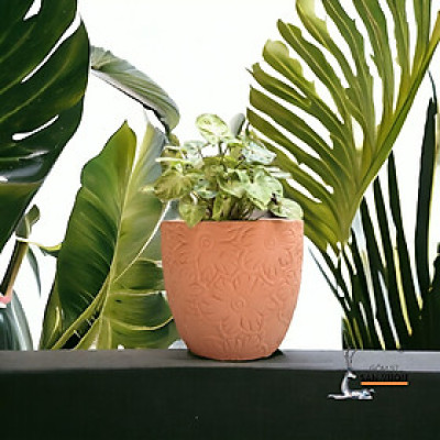 Chậu Gốm Hình Vót Vân Hoa Mặt Trời  D16cm X H16cm