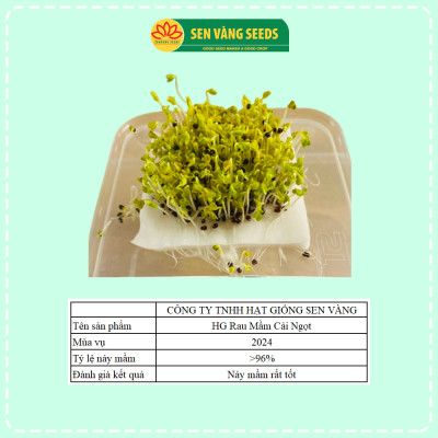 Hạt Giống Rau Mầm Cải Ngọt - Hạt nhập khẩu New Zealand, nảy mầm đều, mau thu hoạch - HẠT GIỐNG SEN VÀNG