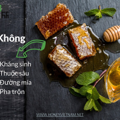Combo 2 Mật Ong Bánh Tổ Jade Mountain Chứa Sáp Ong Nguyên Vẹn Vị Ngọt Tự Nhiên Chất Lượng Cao 500gr