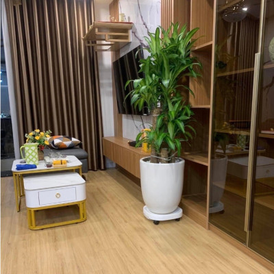  Đế Kê Chậu Cây- Kệ Lót Chậu Cây Có Bánh Xe Dễ Dàng Di Chuyển Và Khay Hứng Nước 1.5L Tiện Lợi - Chịu Lực 80kg