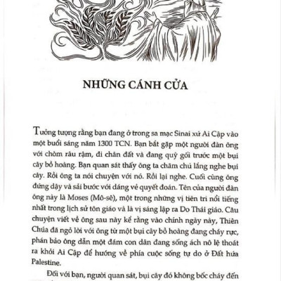 Sách - Lược Sử Tôn Giáo (TB 2024) (Nhã Nam HCM)