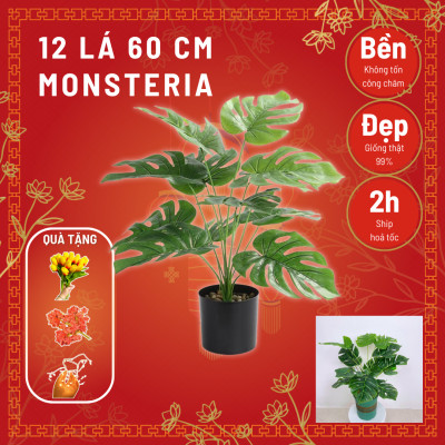 Cây trầu bà giả - 12 lá - cao 60cm - Cây giả, hoa lụa trang trí nhà cửa