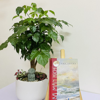 Combo sách Ánh Sáng Trắng và Ba Màn Kịch - Jon Fosse Nobel Văn chương 2023