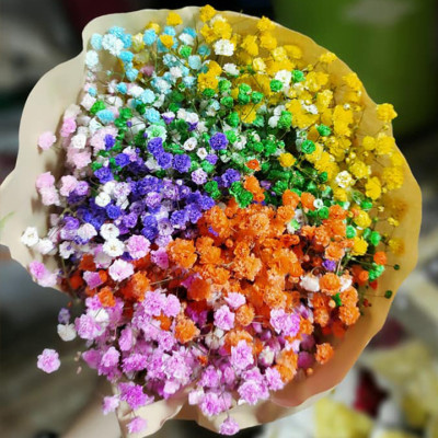 Nước Màu Nhuộm Hoa Tươi Màu Cam Israel (Chai 1 Lít) Color Sodium For Fresh Flowers