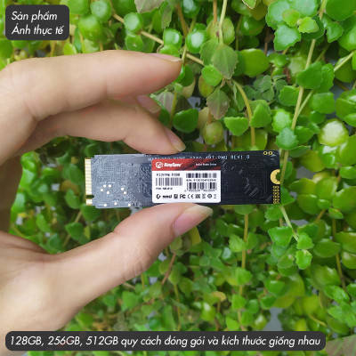 Ổ cứng SSD KingSpec 512GB cài sẵn Win 10 , M2 PCIe NVMe / NE 512G - Hàng Chính Hãng