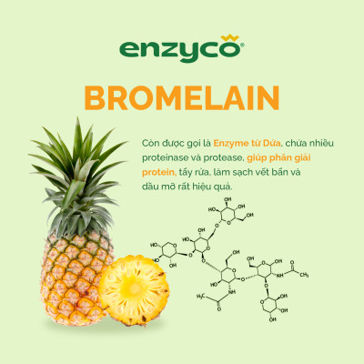 Combo 2 chai nước lau sàn sinh học ENZYCO 2L - Chiết xuất Bồ hòn và Enzyme Dứa