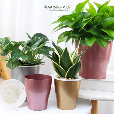 Chậu tự tưới để bàn W09 MONROVIA dành cho hoa, cây cảnh, decor, trang trí bàn làm việc, văn phòng