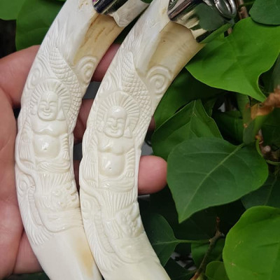 Mặt dây chuyền Nam Nanh Chạm Phật Di Lặc Giả Ngà hay gọi Xương mỹ nghệ màu trắng Mặt dây chạm hình Phật Di Lặc đã bọc khoen inox Nam đeo với sợi dây chuyền của mình đẹp ạ 