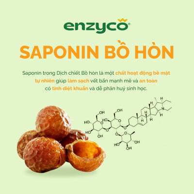 Combo Bếp Siêu Sạch ENZYCO - Nước Ngâm Rau Củ 1L, Nước Rửa Bát 850ml Và Nước Lau Đa Năng 475ml