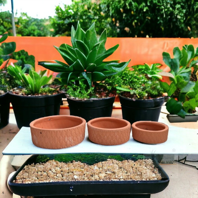 Bộ 3 Chậu Gốm Đất Nung Sọc Caro Và Góc Cây