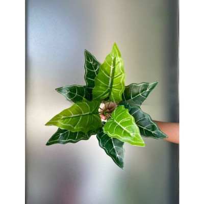 Cây giả trang trí nhiều loại - Cụm cây giả cắm tường - Cây giả, hoa lụa trang trí nhà cửa