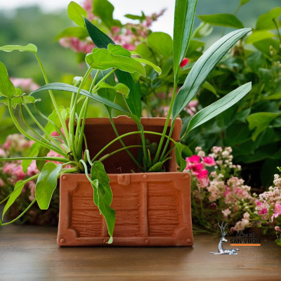 Chậu Gốm Đất Nung Hình Chiếc Rương Kho Báo