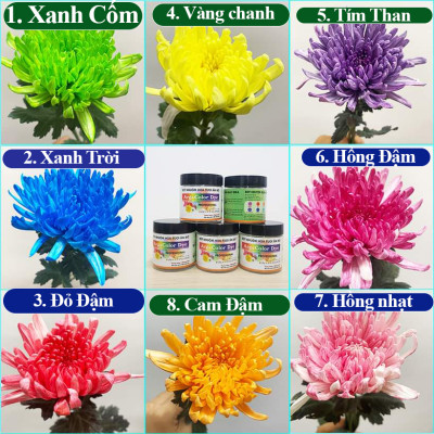 Thuốc Bột Nhuộm Hoa Tươi  màu thực phẩm Ấn Độ (Combo 3 hộp tùy màu) giúp đổi màu hoa cắt cành (1 hủ pha 12L nước màu)