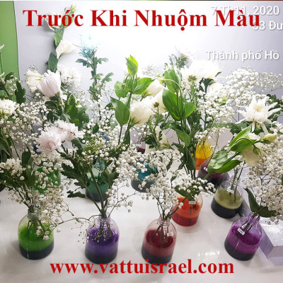 Nước Màu Nhuộm Hoa Tươi Màu Cam Israel (Chai 1 Lít) Color Sodium For Fresh Flowers