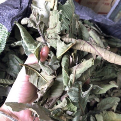 Lá ổi khô  - Sản phẩm hữ cơ tự nhiên gói 1kg