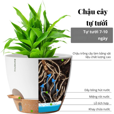 Chậu trồng cây tự tưới thông minh MONROVIA cho cây trong nhà hoặc ngoài trời, decor, văn phòng