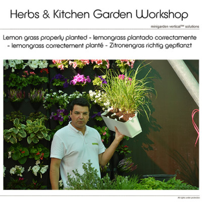 Chậu Treo Trồng Rau Ban Công Đứng Minigarden (Set 10 Bộ) nhập khẩu Châu Âu kèm hệ thống tưới nhỏ giọt bán tự động với năng suất rau cao