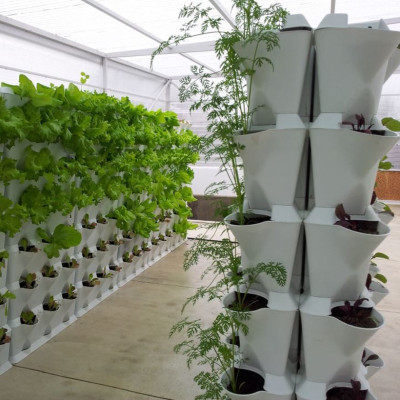 Chậu Trồng Rau Đứng Nhập Khẩu (Combo 4 bộ) kèm bộ tự Tưới nhỏ giọt và tự bón phân cho rau tự động