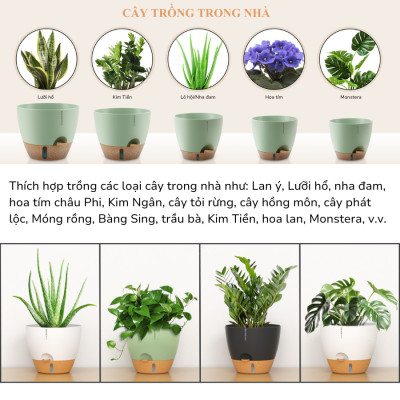 Chậu trồng cây tự tưới thông minh MONROVIA cho cây trong nhà hoặc ngoài trời, decor, văn phòng