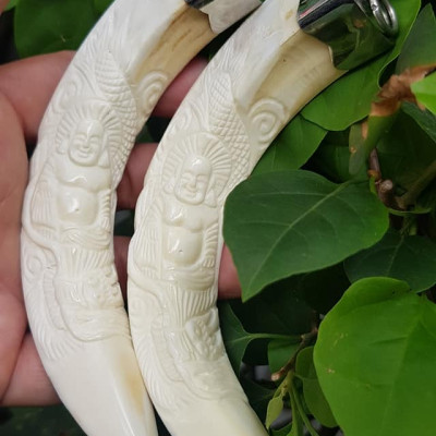 Mặt dây chuyền Nam Nanh Chạm Phật Di Lặc Giả Ngà hay gọi Xương mỹ nghệ màu trắng Mặt dây chạm hình Phật Di Lặc đã bọc khoen inox Nam đeo với sợi dây chuyền của mình đẹp ạ 