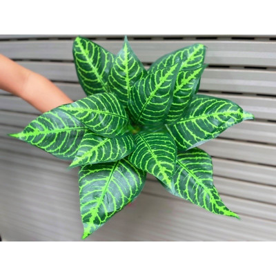 Cây giả trang trí nhiều loại - Cụm cây giả cắm tường - Cây giả, hoa lụa trang trí nhà cửa